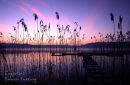 Fenagh Lake. Co. Leitrim