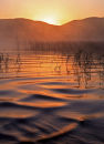 Dawn  on  a  summers  morning. Lough  Gill. Co. Sligo.