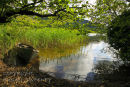 Hidden  Mooring. Glencar Lake. Co.Sligo