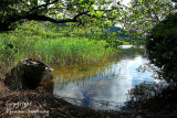 Hidden Mooring. Glencar Lake. Co. Leitrim