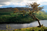 High above Glencar Lake. Co. Leitrim