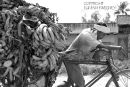 Loaded Rickshaw  .  Rajistan. India