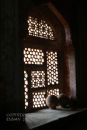 Temple  window  detail. Amber. Rajistan. India