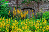 Walled  Garden