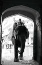 Doorway to the elephants stable. Amber Fort. Jaipur. Rajistan. India