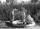 Mother  and  daughter  at  the  village  well. Rajistan . India