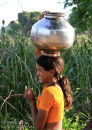 Heading  home  from  the  well.  Rajistan . India