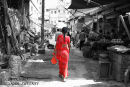 Red  Sari.  Delhi