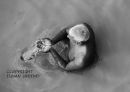 Praying in the Ganges River at dawn. Varanassi. India.