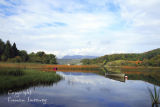 Lough Gill. Co. Leitrim