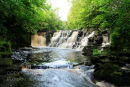 Pol An Easa Waterfall. Aughnasheelin. Co.Leitrim