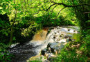 Pol An Easa Waterfall. Co. Leitrim
