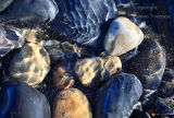 Sea shore