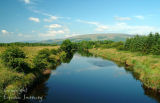 Shannon River. Co. Leitrim