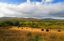Aughacashel and Sliabh An Iarainn Mountain. Co. Leitrim