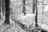 Snowfall. Co. Leitrim