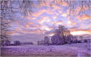 A  winters  morning near Lough Key Forest Park . Co Roscommon 