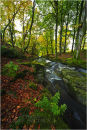 Wicklow  Landscape