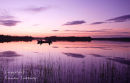 Fishermen. Garadice Lake. Co. Leitrim