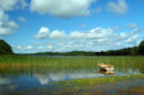 Lough  Meelagh. Co. Roscommon. Ireland