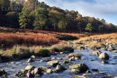 Liffey  River  at  the Sally Gap. Co. Wicklow. Ireland.