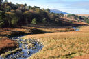 Liffey  River. Wicklow  . Ireland