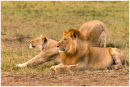 Having a stretch