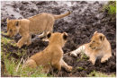 Playing in the mud