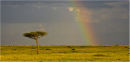 Rainbow on the Mara