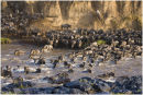 River crossing