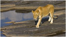 Crossing the river