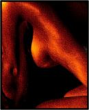 Orange nude