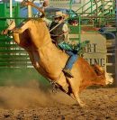 Bull rider