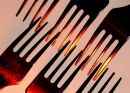 Forks 2