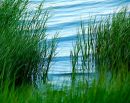 Tranquility