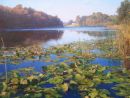 "October, Blenheim".