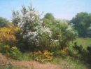 "Hawthorn and Gorse, Galloway".