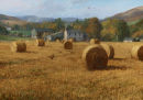 Autumn in Glenogil.