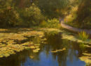 The Lily Pond, Inverewe.