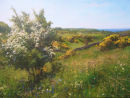 "Early Summer near Borgue". Oil on board. £1750