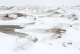 December 2010