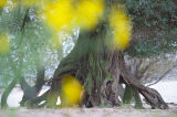 Oktober 2011