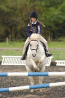 Anna Davey Showjumping on Tod