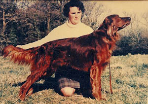 oldies-352