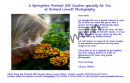 Springtime-Portrait-Special-Offer-Gift-Voucher