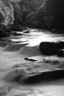 River Dart