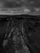 The Granite Railway below Hay Tor