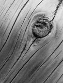 Wood Knot