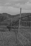 Rusty fence to nowhere