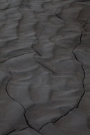Patterns in the mud